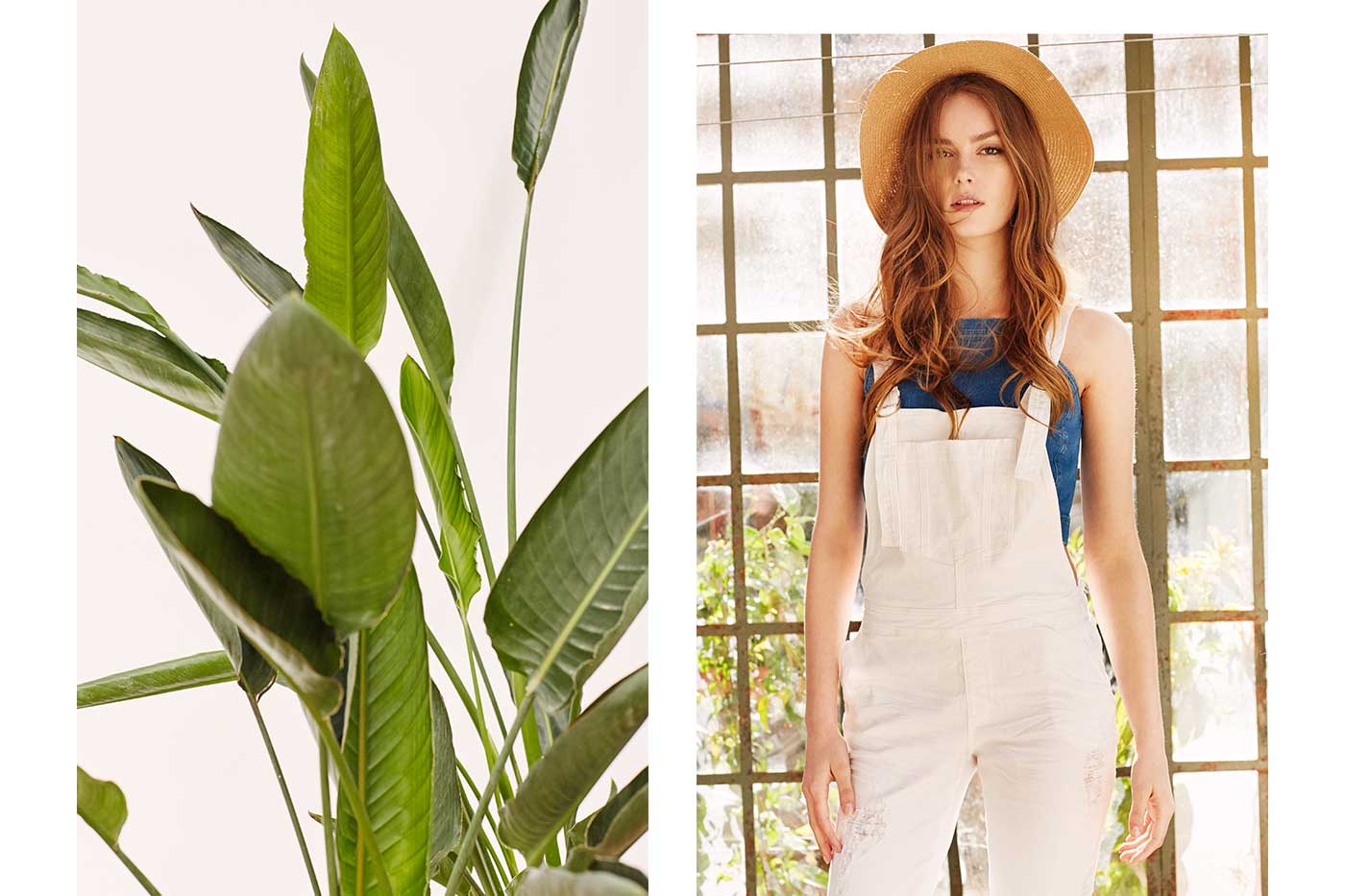 lookbook slide a