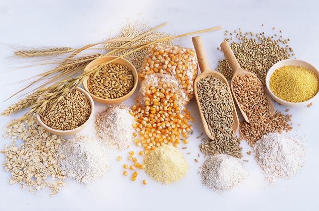allgrains