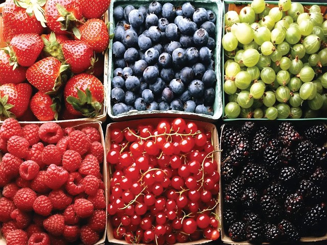 11 необходимых продуктов в летнем питании
