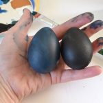 galaxy easter eggs dreamalittlebigger