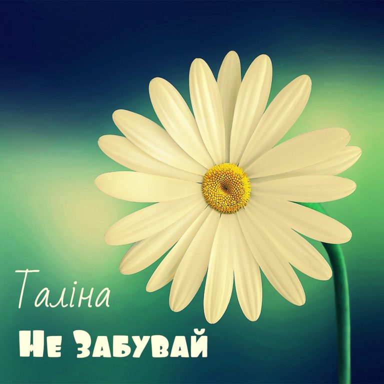 talina ne zabuvaj cover